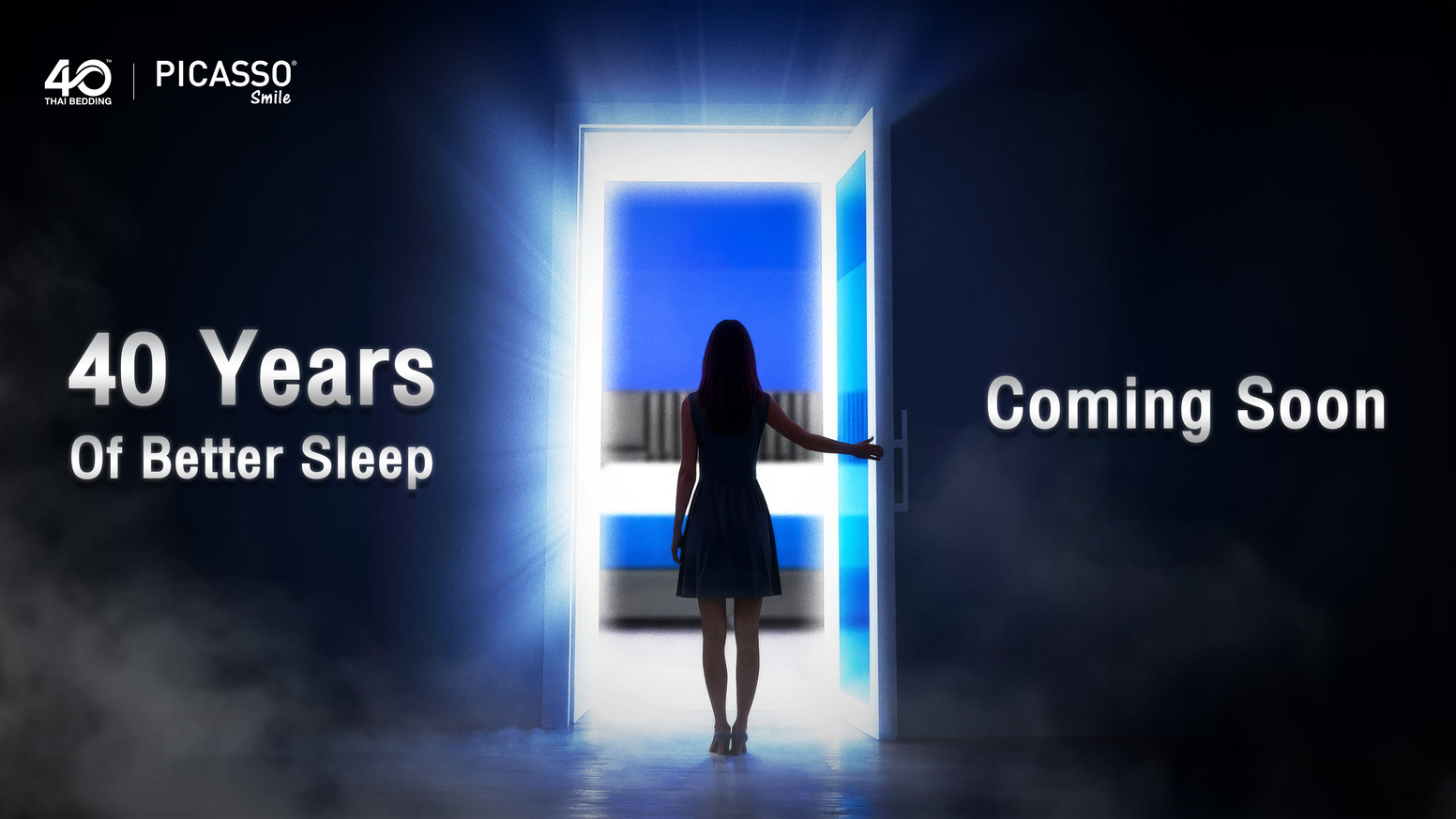 Picasso Comfort Banner